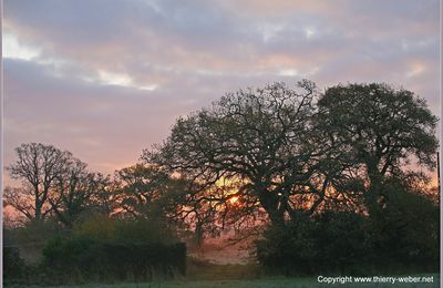 Petit matin d'hiver dans la campagne bretonne