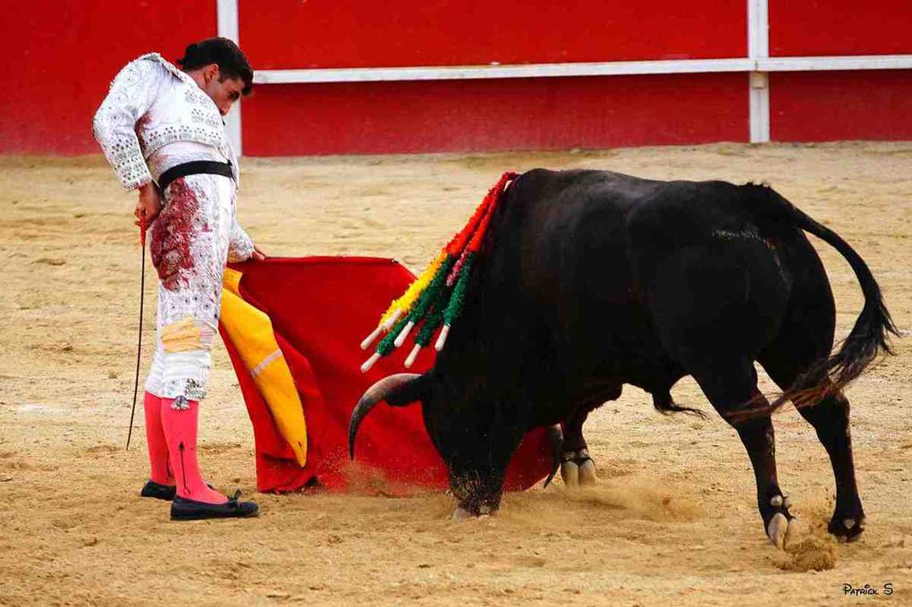                               UN DIMANCHE DE FERIA  Á BOUJAN