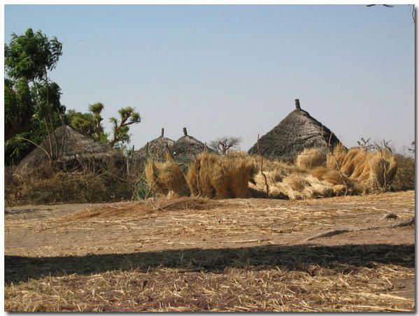 Album - le-senegal