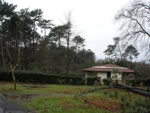 La civelle après la tempête du 25 janvier 2009