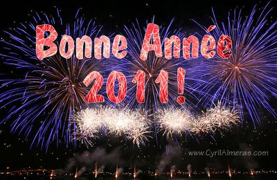 BONNE ANNEE 2011