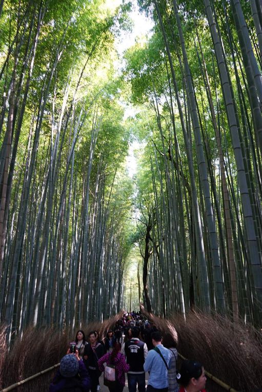 Kyoto - Troisième jour