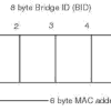 Spanning Tree Protocol ( 802.1d / 802.1w/802.1s )