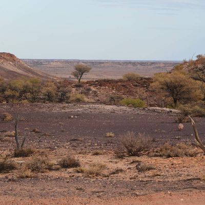 De Cobber Pedy à Port Augusta
