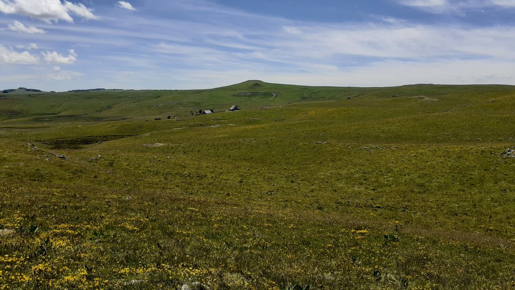 Rando à St Urcize 2021-07-01