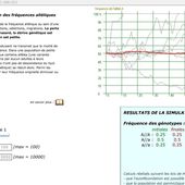 ALLONS-Y LES TSBF-COLLEGE DES APOTRES, JOUONS!!!! EXPLICATIONS PAR LES PAIRS