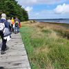 En  balade dans le Golfe du Morbihan ...