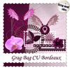 grag bag CU bordeaux de.....