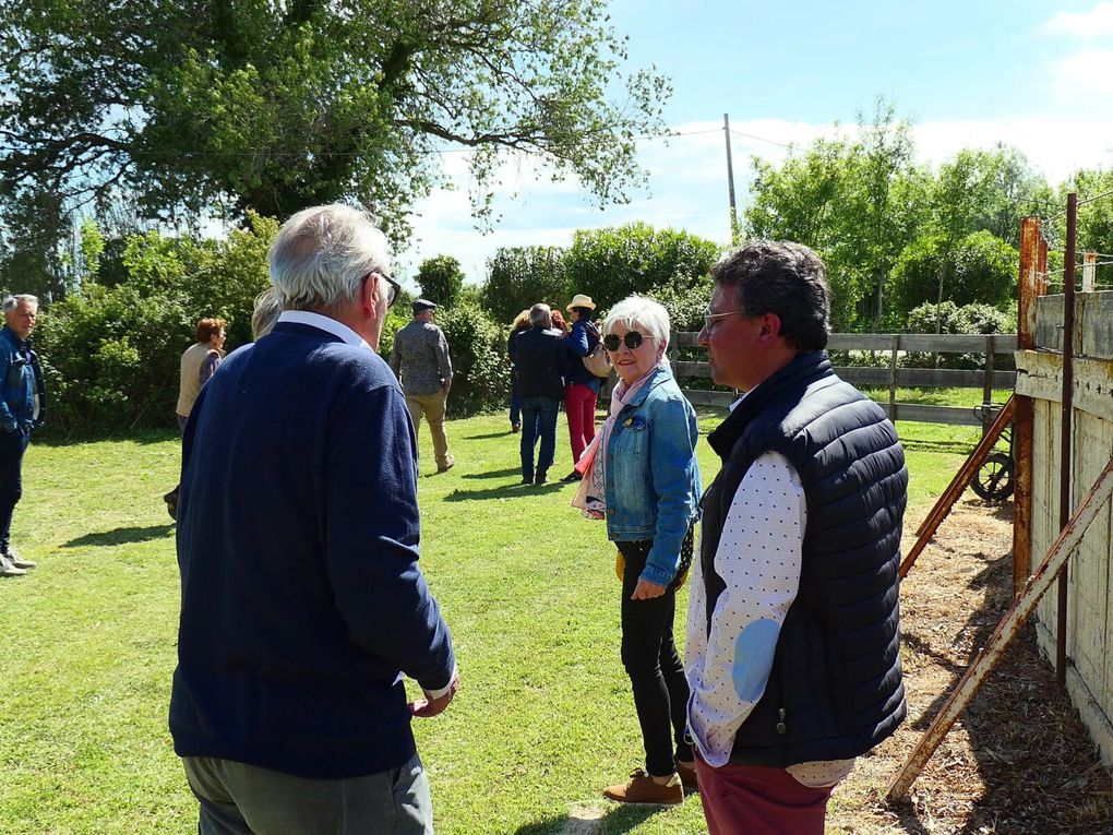 Journée campera à la ganadéria GIRAUD le 14 mai 2023