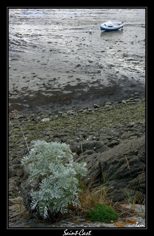 Diverses photos de Bretagne.