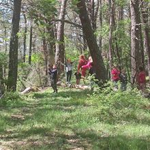Sensibilisation à la nature : les élèves de Saint-Pierre à la découverte de la forêt