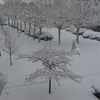 C'est beau Lyon sous la neige ! 1er décembre 2010