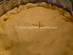 Tourte de Canette au Chou