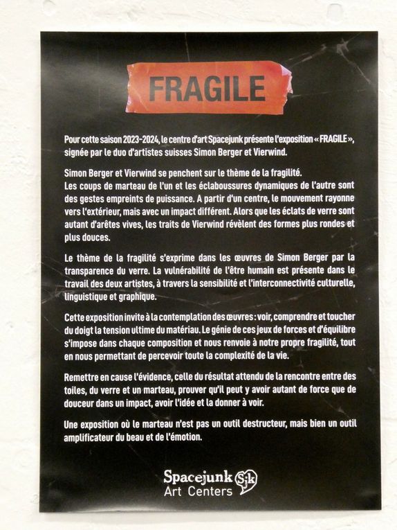 Expo &quot;Fragile&quot; chez Spacejunk à Grenoble