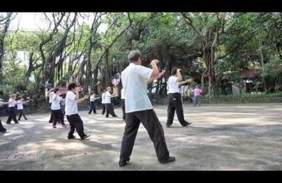 Le singe bat en retraite style Yangjia michuan taiji quan