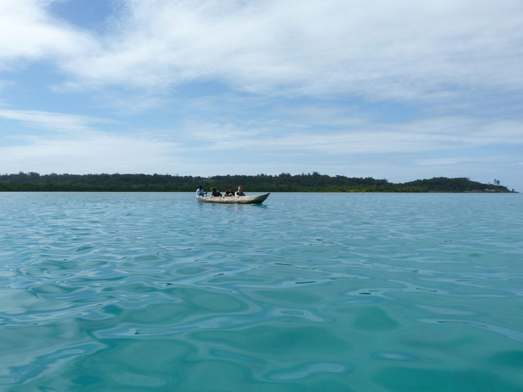 L'île de Sainte-Marie, ses baleines, ses histoires de Pirates, ses cocotiers...