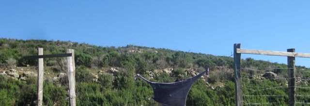 Avec une mer si bleue ...