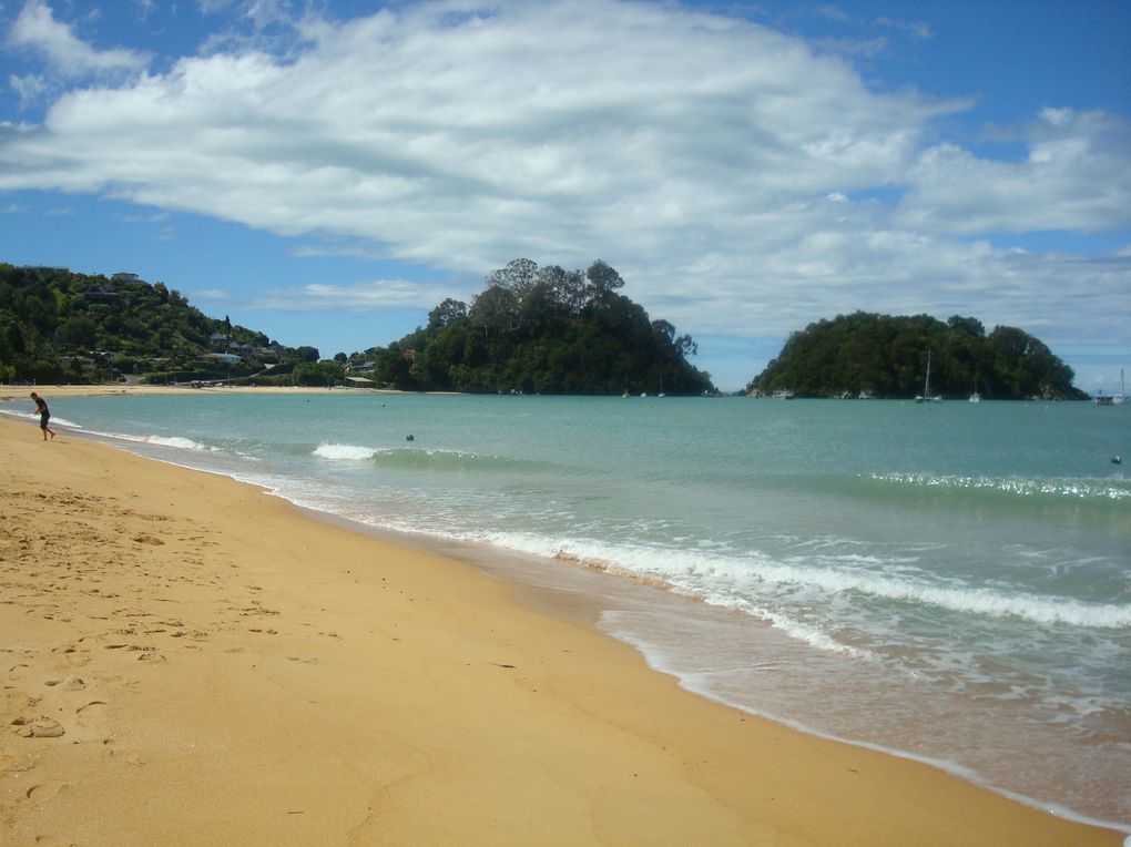 Aux portes de la Golden Bay, voici un appercu de Nelson, Motueka et d'autre villes. C'est aussi que nous avons vecu nos dernières (je l'espère) semaines de travail!!