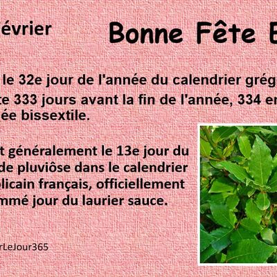 Bonne fête aux Ella
