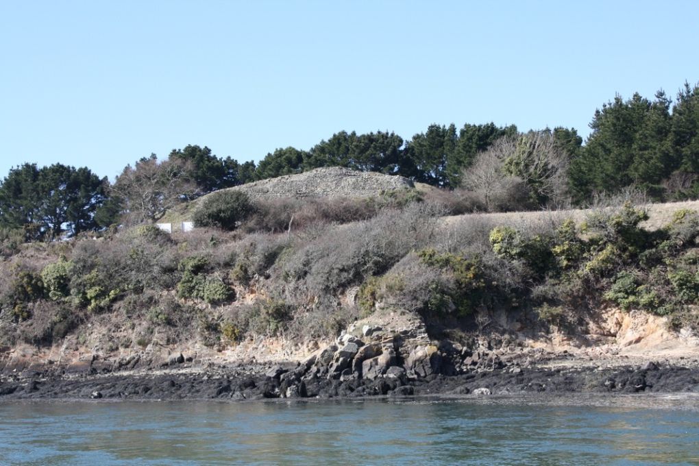 Photos du Tour du Golfe en bateau et de l'arrêt sur l'Ile aux Moines; lundi 15 mars 2010.