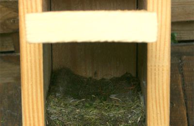 Biodiversité au Parc du Coteau