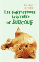 MES FANTASTIQUES AVENTURES !