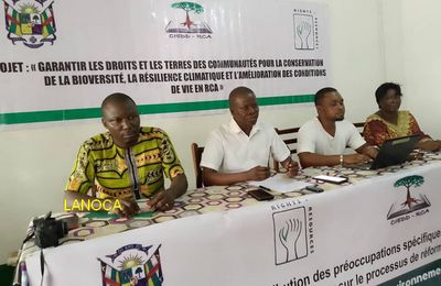 CENTRAFRIQUE-ENVIRONNEMENT : la plateforme GDRNE est préoccupée par la situation de la gouvernance forestière et climatique en RCA