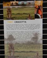 Quelques clichés de Tony CROCETTA