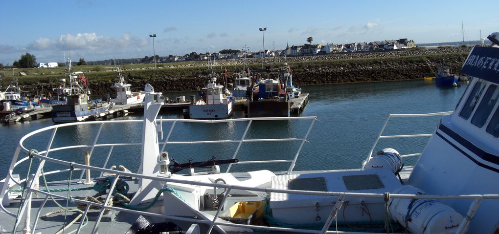 Découverte du port de pêche de Loctudy un lundi matin...