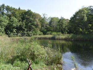 &quot;Rando Santé&quot; Le Lac Noir