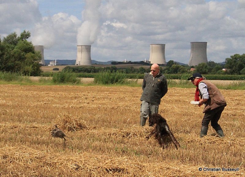 2012 - Photos-de-Christian-BUSSEUIL-du-28-29-08-2012