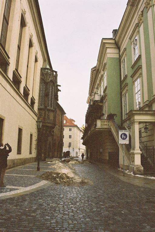 le chateau de Prague, la cathédrale St Guy, la basilique St Georges, la tour poudrière le pont St Charles et les tours du pont de Mala Strana petit coté et de la vielle ville,la place de la vielle vielle ainsi que l'horloge astronomique de l'hôte