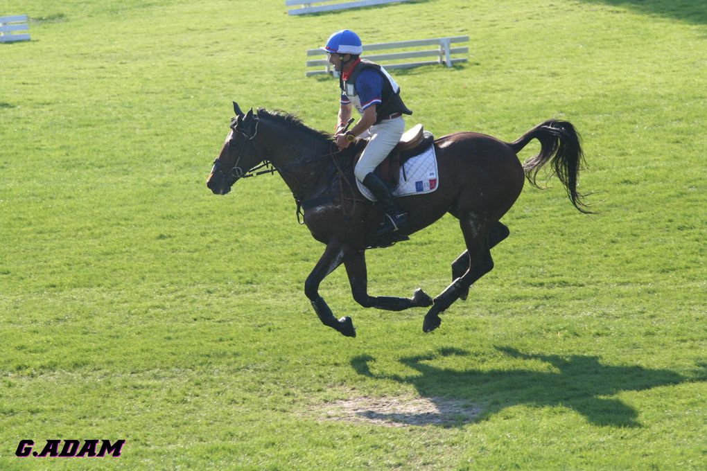 Championnat d'Europe de concours complet d'équitation 2009