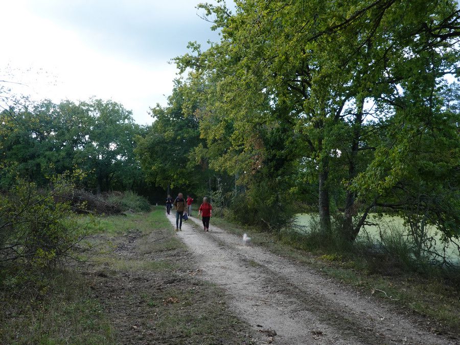 Rando pédestre à La Ferté St Cyr