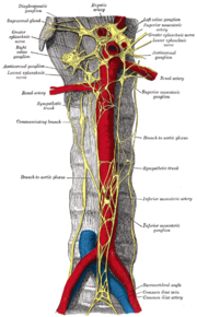 Ganglion abdominal traitement