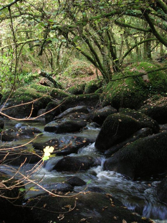 Gorges de Toul-Goulic a Trémargat (22)