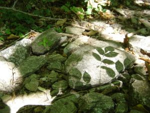 Les mille marches Langlade Juin 2016
