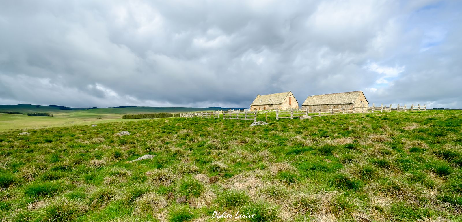 AUBRAC BURON CANTAL LOZERE AVEYRON AUVERGNE BURONNIER OCCITANIE 