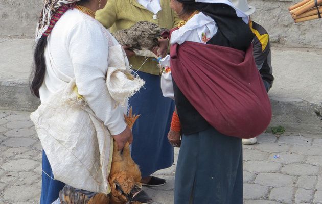 Otavalo et la laguna Cuycocha (27 Février)