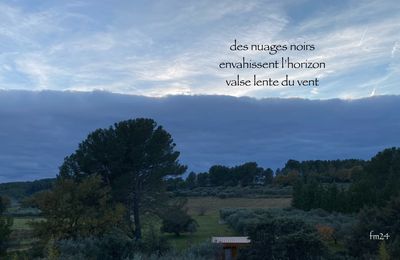 Mes haïkus ; novembre 2024