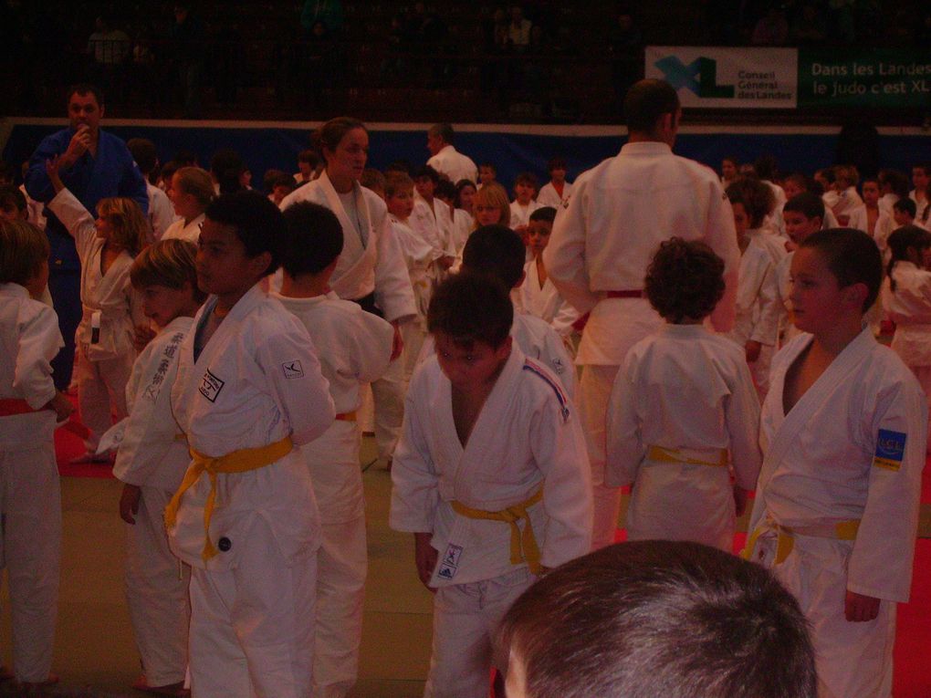 Stage d'arbitre et compétition "4 Saisons " & " Petits Tigres ". Et participation de Frédéric Demontfaucon, champion du monde en 2001 et médaille de bronze aux Jeux Olympiques de Sidney 2000.