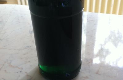 sirop de menthe fait maison (thermomix)