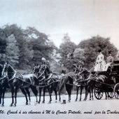 L'attelage au travers de l'oeuvre des Delton 1° partie - attelage-patrimoine