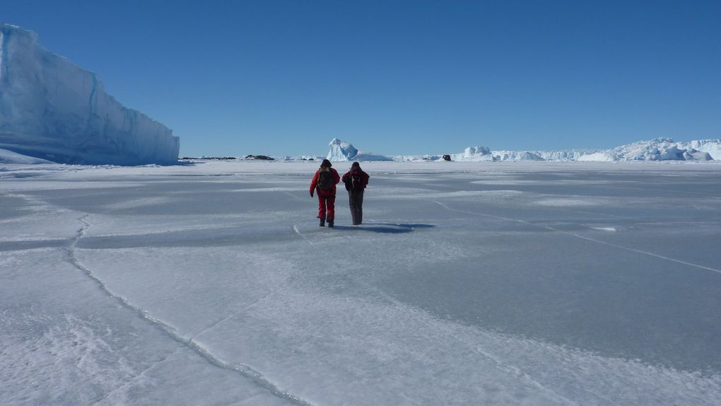 Album - antarctique