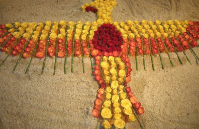 La rose, reine du 14 Juillet