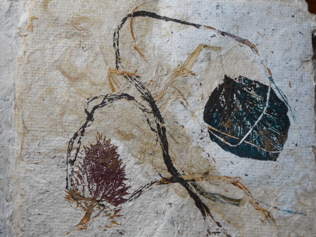 livre réalisé en papier japon texturé avec des matériaux de la presqu'île , les illustrations sont des monotypes dont un sur une feuille transformée par Viviane Fontaine, la couverture est en d'amadouvier