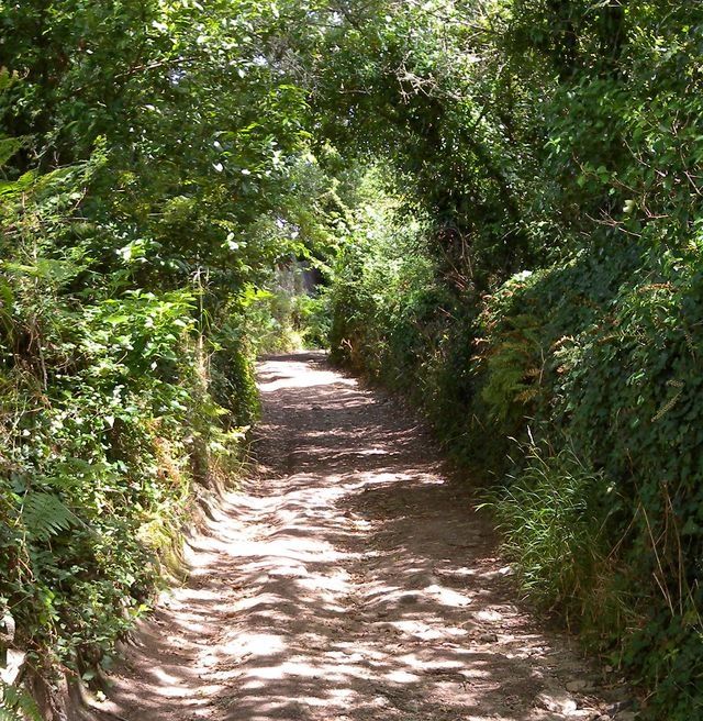 Album - Arradon--sur-le-sentier-des-douaniers