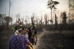 Dans l’Amazonie brésilienne, les assassinats de protecteurs de la forêt se multiplient