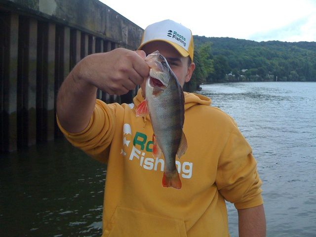 2012 est déja commencer et les fish ne tardent pas à montrer leurs nageoires