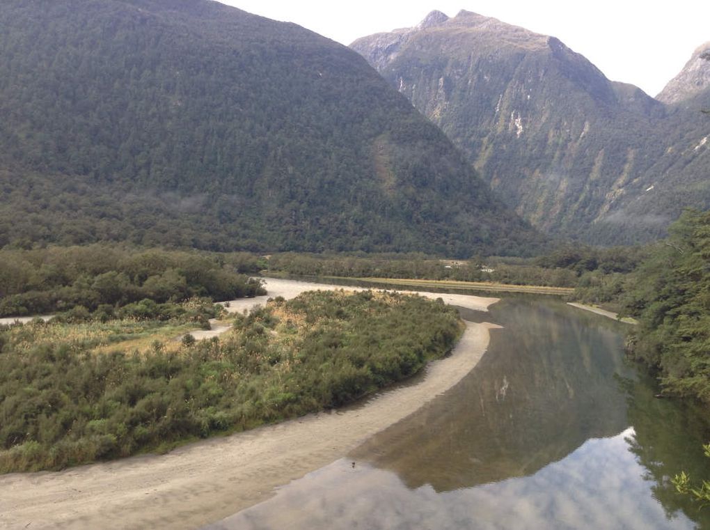 Milford Track - Great Walk #7